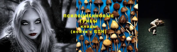 МДПВ Армянск