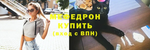 стаф Аркадак