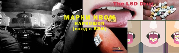 стаф Аркадак