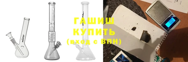 стаф Аркадак