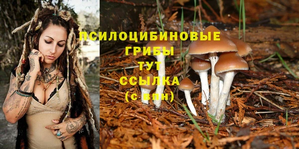 МДПВ Армянск