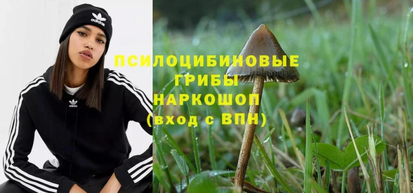 стаф Аркадак