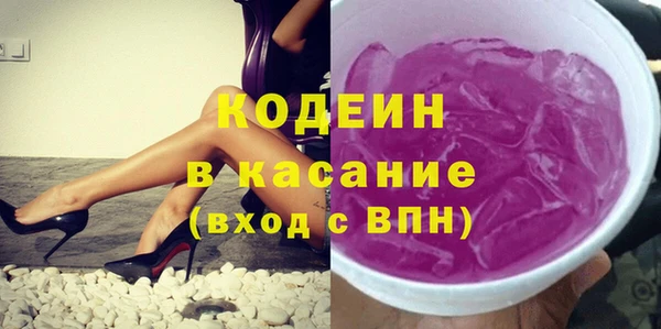 стаф Аркадак