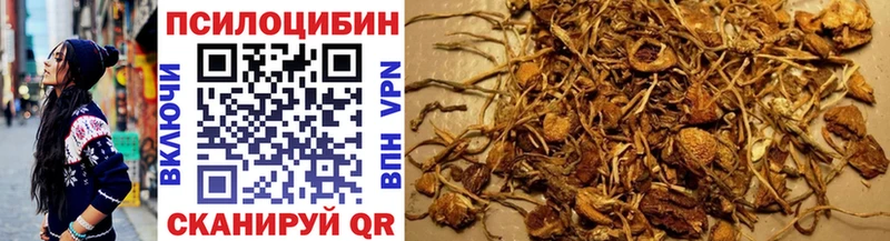 Галлюциногенные грибы Psilocybine cubensis  Бавлы 