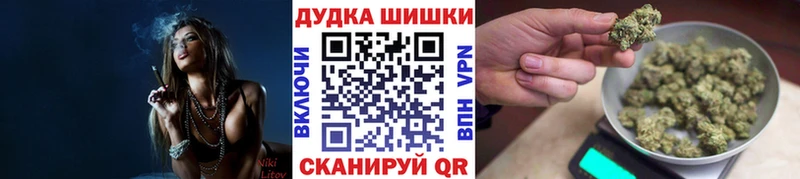 Бошки Шишки семена  Бавлы 